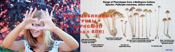 мескалин Абаза