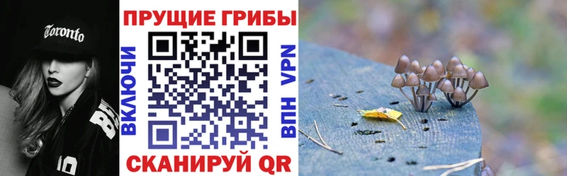 закладка Аксай Галлюциногенные грибы мухоморы